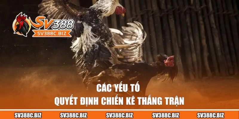 Các yếu tố quyết định chiến kê thắng trận