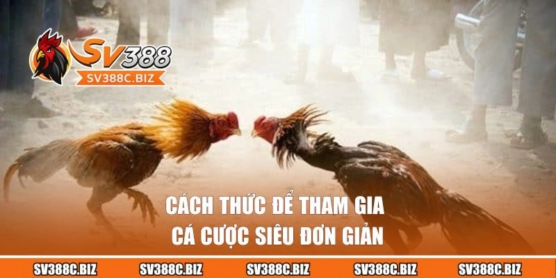 Cách thức để tham gia cá cược siêu đơn giản