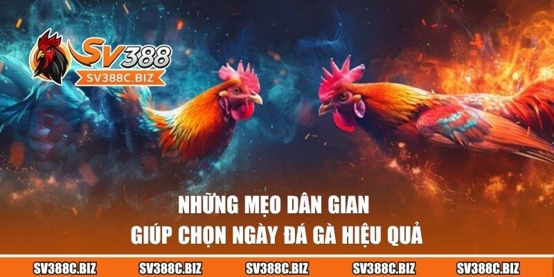 Bỏ túi những mẹo xem cực hiệu quả cho sư kê
