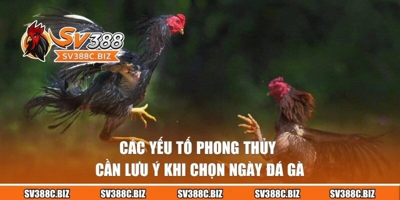 Những yếu tố phong thủy cần lưu ý khi xem ngày