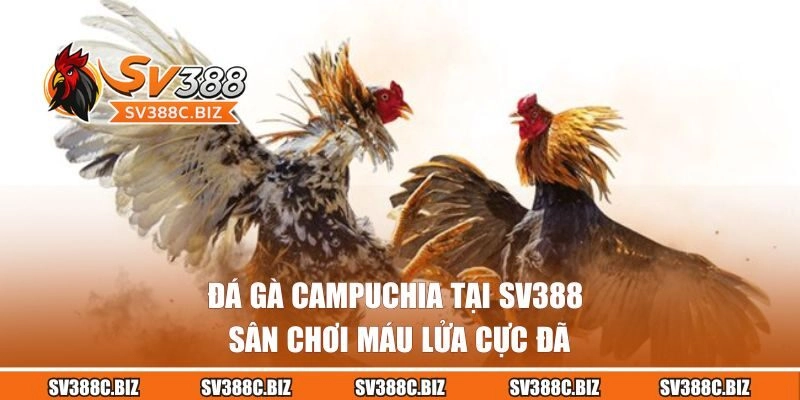 Đá Gà Campuchia