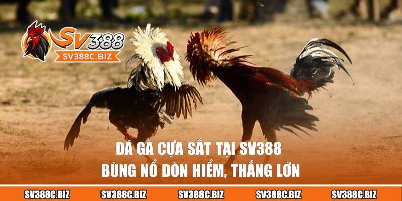 Đá Gà Cựa Sắt