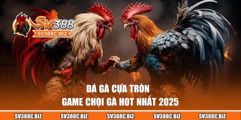 Đá Gà Cựa Tròn