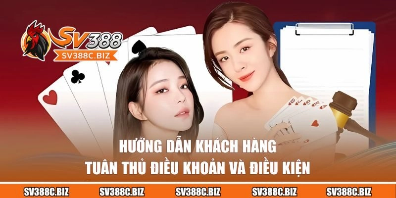 Hướng dẫn tuân thủ điều khoản