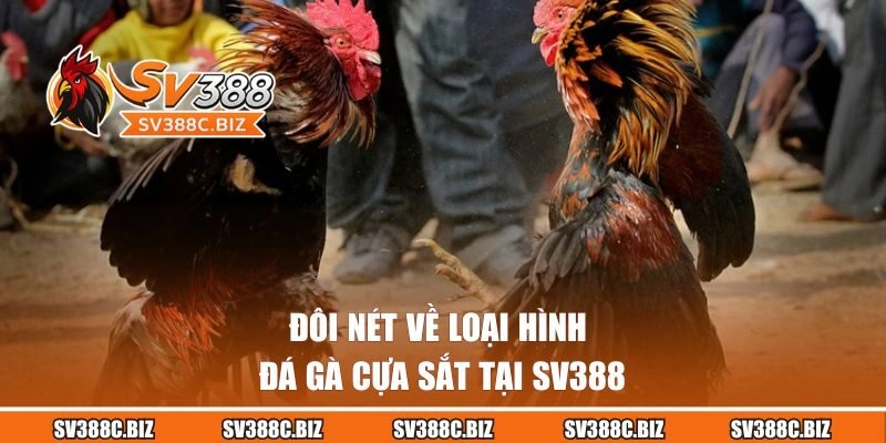 Đôi nét về loại hình đá gà cựa sắt tại SV388