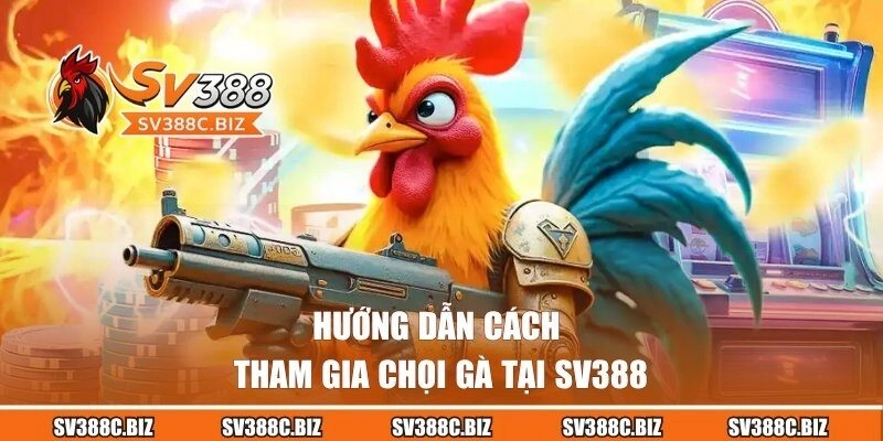 Hướng dẫn cách tham gia chọi gà tại SV388