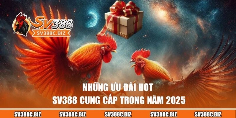 Những ưu đãi hot SV388 cung cấp trong năm 2025