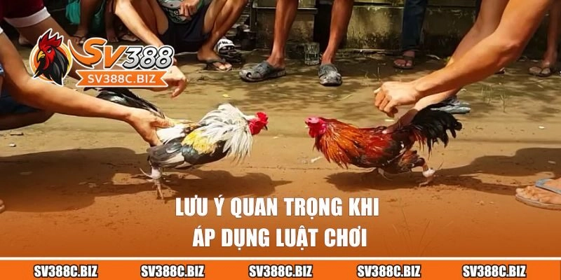 Lưu ý quan trọng khi áp dụng luật chơi