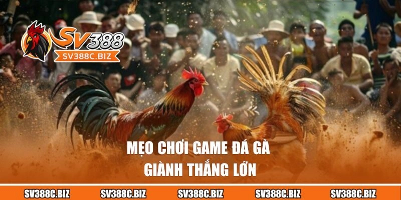 Mẹo chơi game đá gà giành thắng lớn