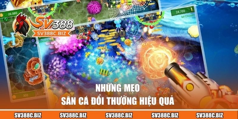 Những mẹo săn cá đổi thưởng hiệu quả từ chuyên gia