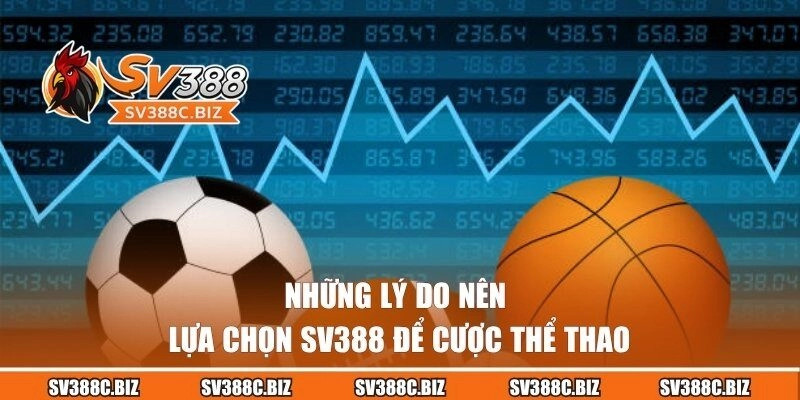 Những lý do nên lựa chọn SV388 để cược thể thao
