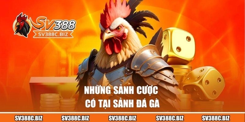 Những sảnh cược có tại sảnh đá gà