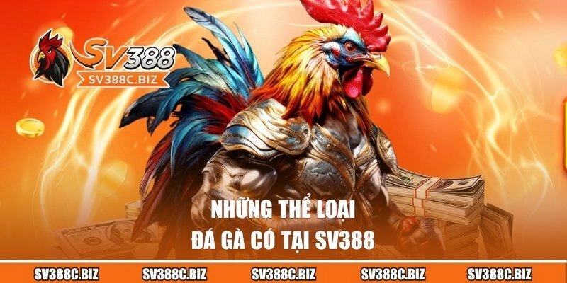 Những thể loại đá gà có tại SV388
