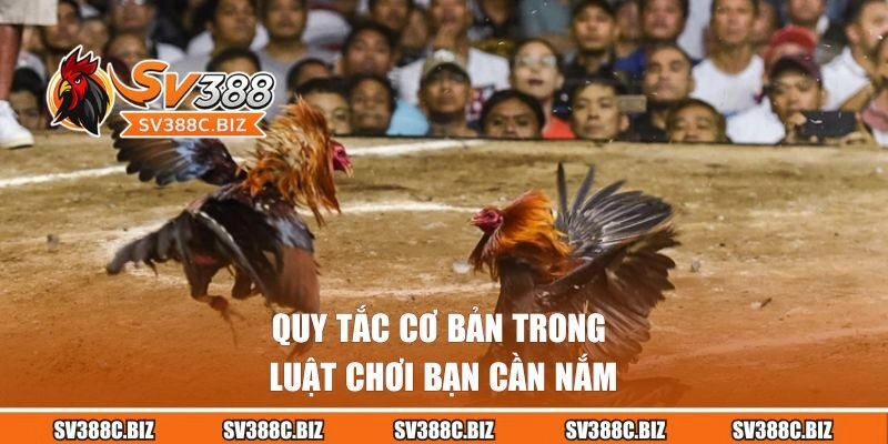 Quy tắc cơ bản trong luật chơi bạn cần nắm