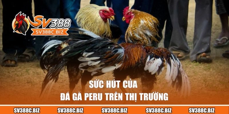 Sức hút của đá gà Peru trên thị trường
