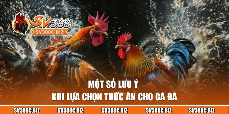 Nắm rõ những lưu ý để chọn thức ăn phù hợp