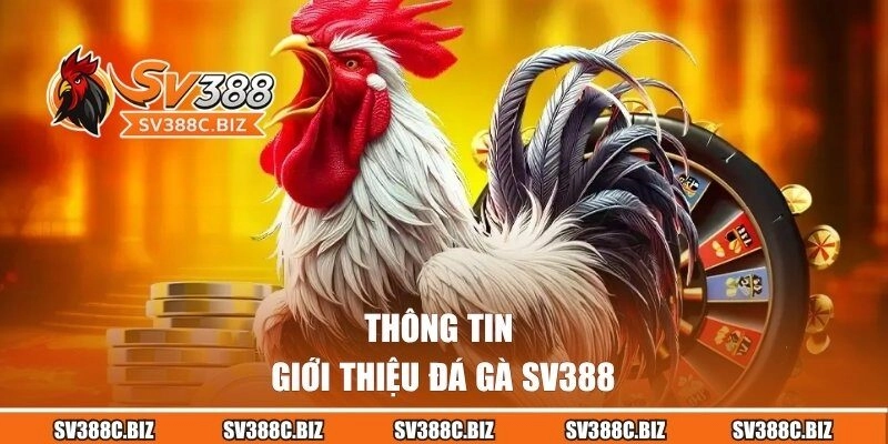 Thông tin giới thiệu đá gà SV388