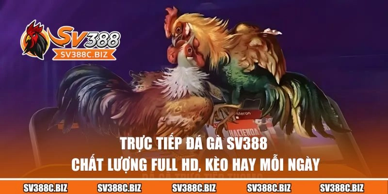 Trực Tiếp Đá Gà