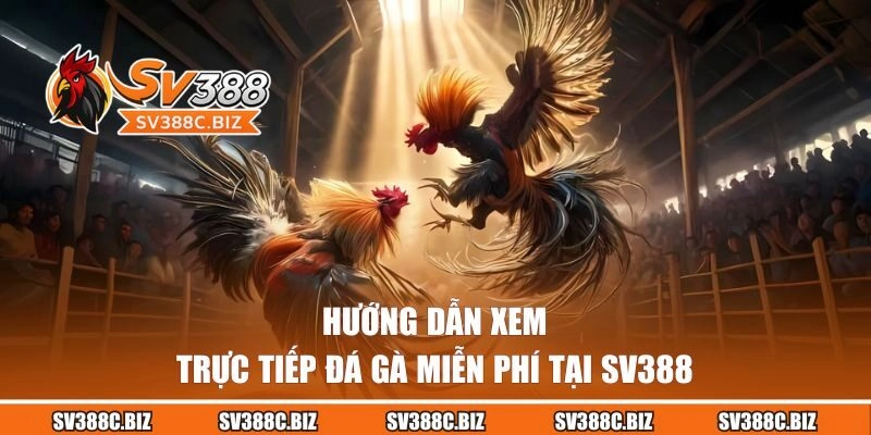 Hướng dẫn xem đá gà trực tiếp miễn phí tại SV388