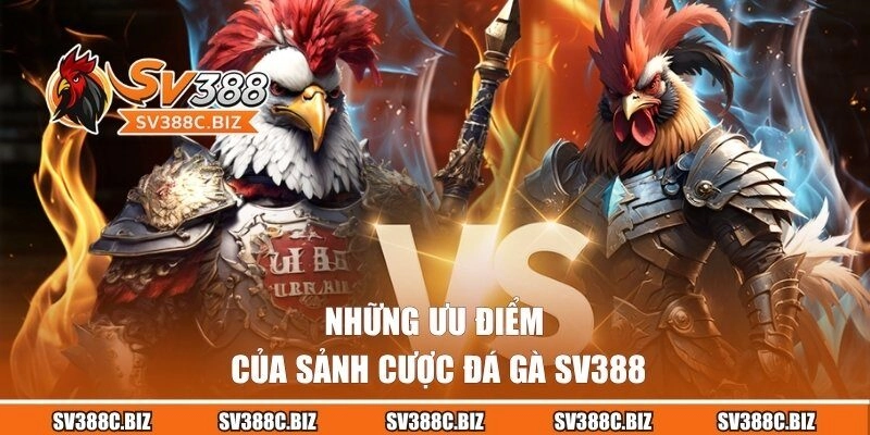 Những ưu điểm của sảnh cược đá gà SV388