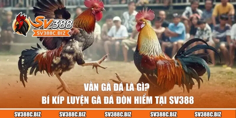 Vần Gà Đá