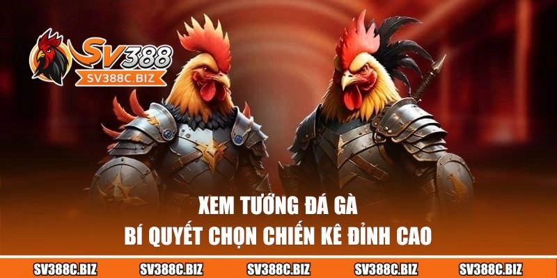 Xem Tướng Đá Gà